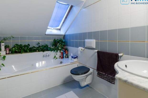 Gewerbeobjekt mieten in 2000 Stockerau (Bild 5)