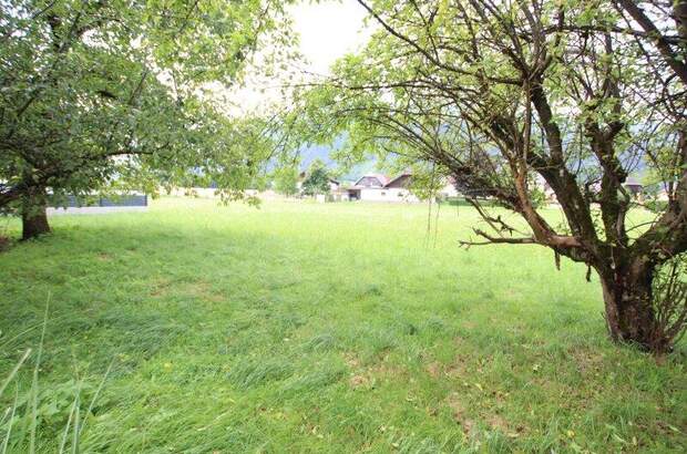 Haus kaufen in 9162 Strau (Bild 5)