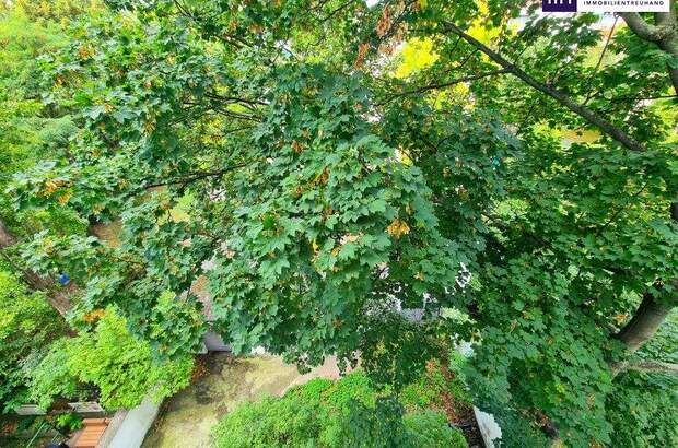 Terrassenwohnung kaufen in 1030 Wien (Bild 2)