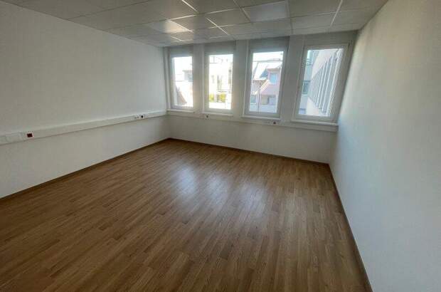 Büro / Praxis mieten in 2351 Wr. Neudorf (Bild 5)