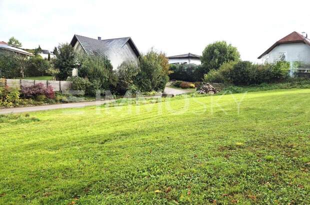 Grundstück kaufen in 4631 Krenglbach (Bild 2)