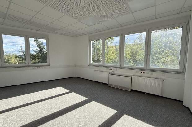 Gewerbeobjekt mieten in 8200 Gleisdorf (Bild 4)