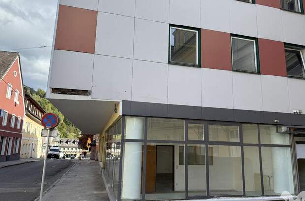 Gewerbeobjekt mieten in 8940 Liezen (Bild 2)