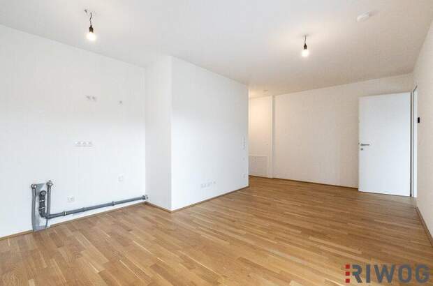 Terrassenwohnung kaufen in 1210 Wien (Bild 5)