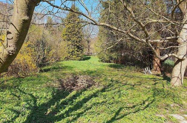 Grundstück kaufen in 3400 Maria Gugging (Bild 1)