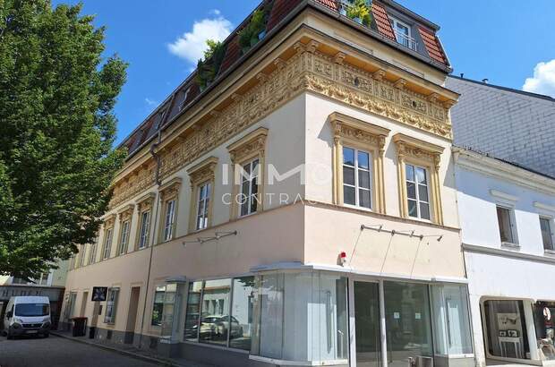 Altbauwohnung mieten in 4600 Wels (Bild 2)