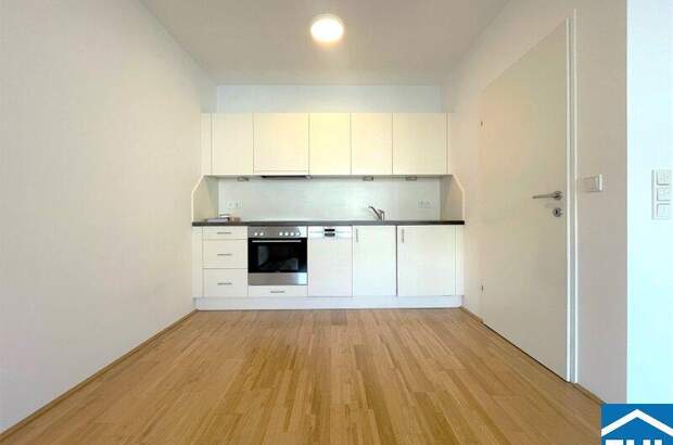 Terrassenwohnung mieten in 1100 Wien (Bild 2)