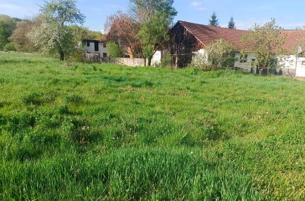 Grundstück kaufen in 7542 Sulz (Bild 5)