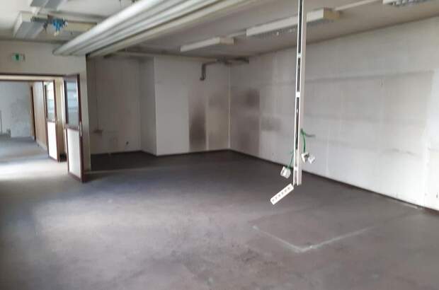 Gewerbeobjekt mieten in 3580 Horn (Bild 5)