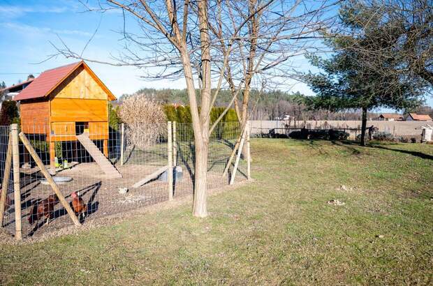 Haus mit Garten kaufen in 8544 Pölfing (Bild 4)