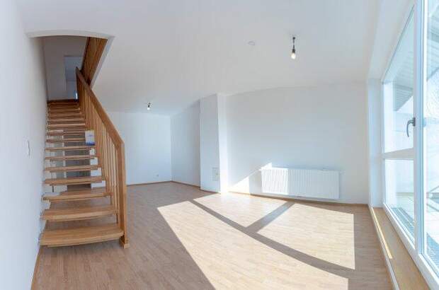 Terrassenwohnung mieten in 3382 Loosdorf (Bild 5)