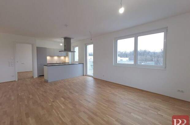 Terrassenwohnung mieten in 3400 Klosterneuburg (Bild 2)