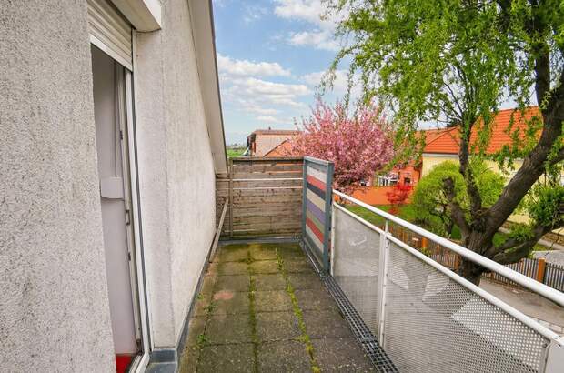 Einfamilienhaus kaufen in 2100 Stetten (Bild 3)