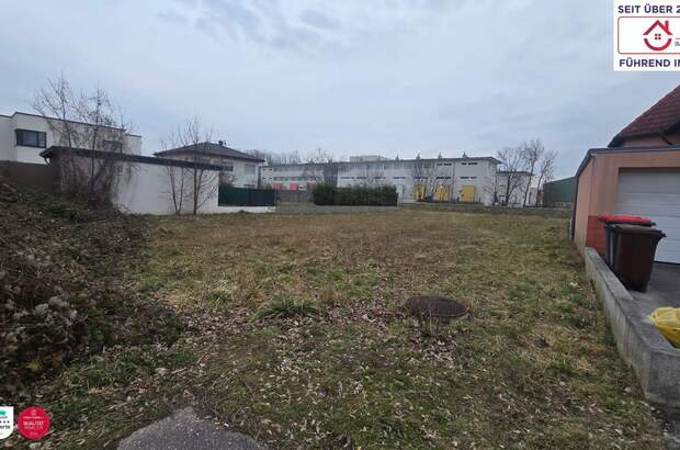 Grundstück kaufen in 2483 Weigelsdorf (Bild 3)
