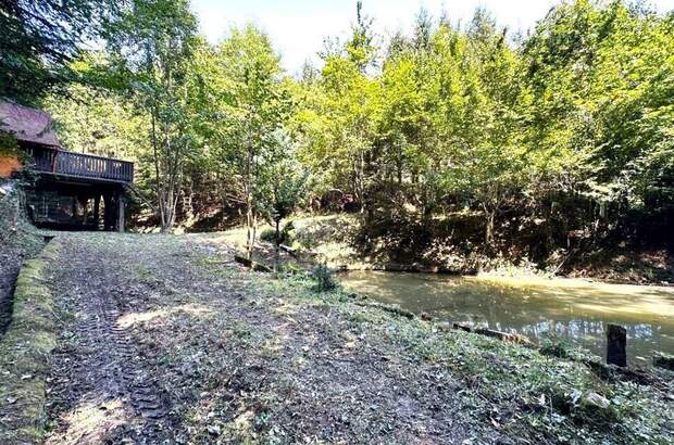 Gewerbeobjekt kaufen in 8462 Gamlitz (Bild 3)