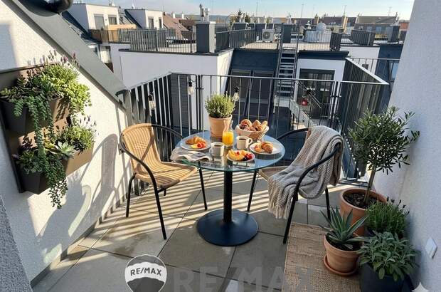 Terrassenwohnung kaufen in 1230 Wien (Bild 1)