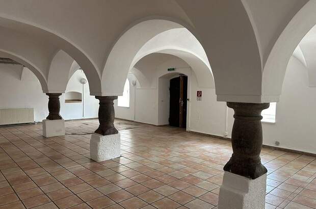 Gewerbeobjekt mieten in 4052 Ansfelden (Bild 2)