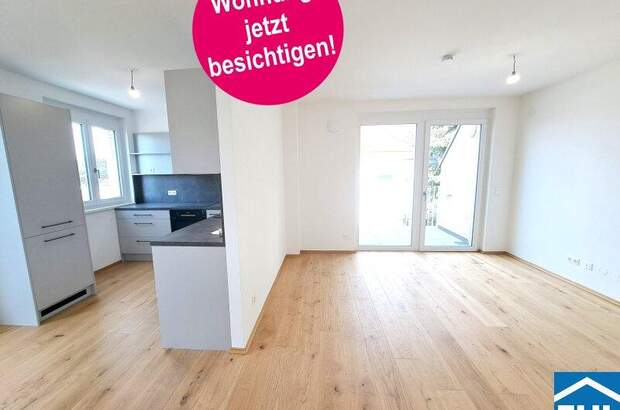 Terrassenwohnung kaufen in 1220 Wien (Bild 1)