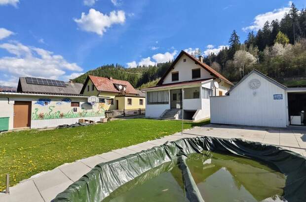 Haus kaufen in 8641 Sankt Marein (Bild 5)