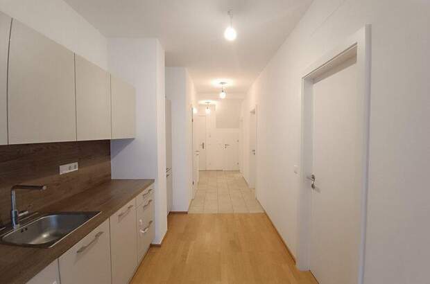 Terrassenwohnung mieten in 1100 Wien (Bild 5)