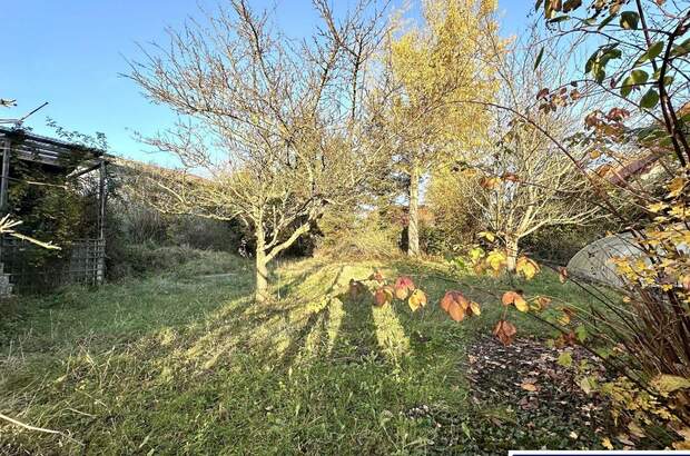 Grundstück kaufen in 4611 Buchkirchen (Bild 3)