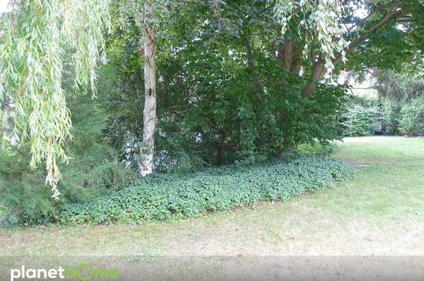 Grundstück kaufen in 1130 Wien (Bild 5)