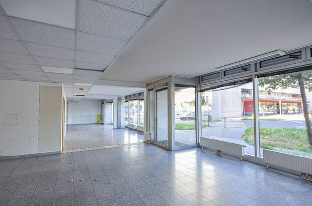 Gewerbeobjekt mieten in 1230 Wien (Bild 1)