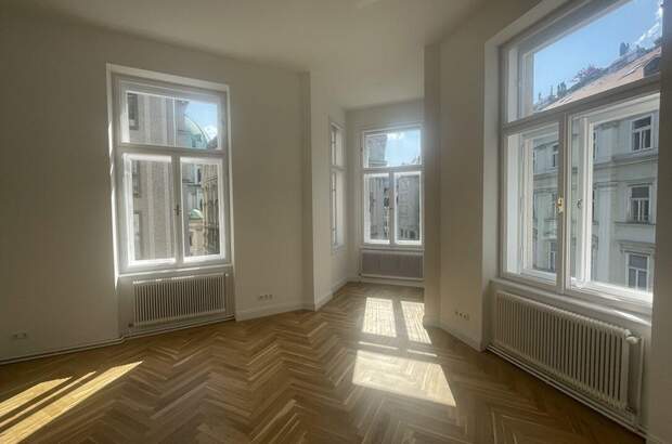 Gewerbeobjekt mieten in 1010 Wien (Bild 3)