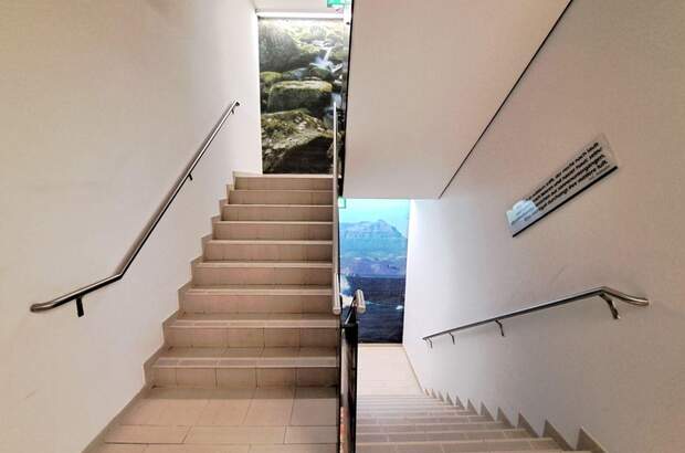 Gewerbeobjekt mieten in 1200 Wien (Bild 5)