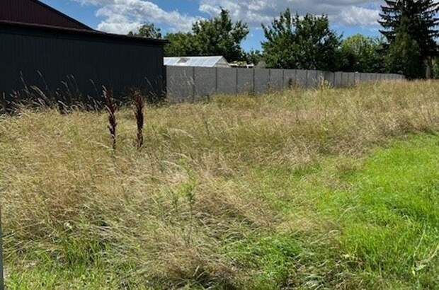 Grundstück kaufen in 2263 Dürnkrut (Bild 3)