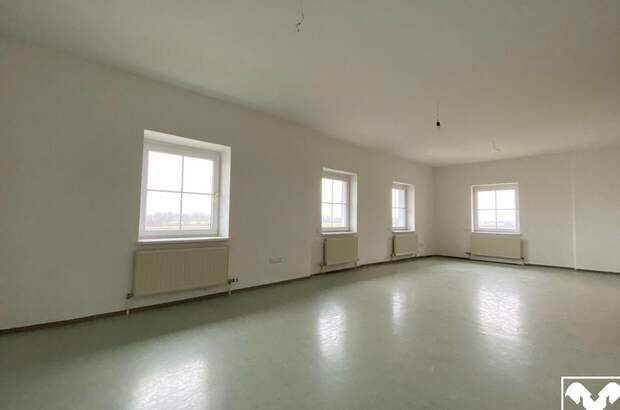 Gewerbeobjekt mieten in 4616 Weißkirchen (Bild 2)