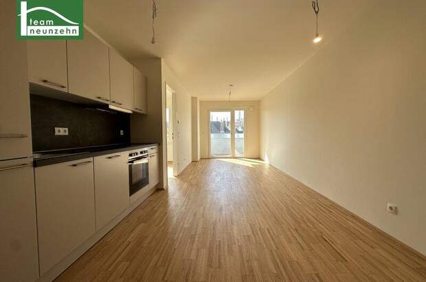 Terrassenwohnung mieten in 1200 Wien (Bild 3)