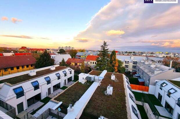 Terrassenwohnung kaufen in 1230 Wien (Bild 5)