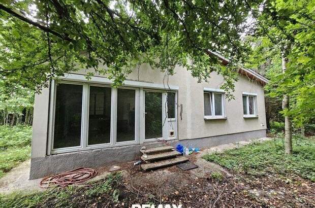Einfamilienhaus kaufen in 2440 Mitterndorf (Bild 1)