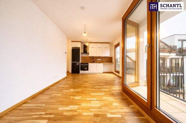 Terrassenwohnung mieten in 1230 Wien (Bild 5)