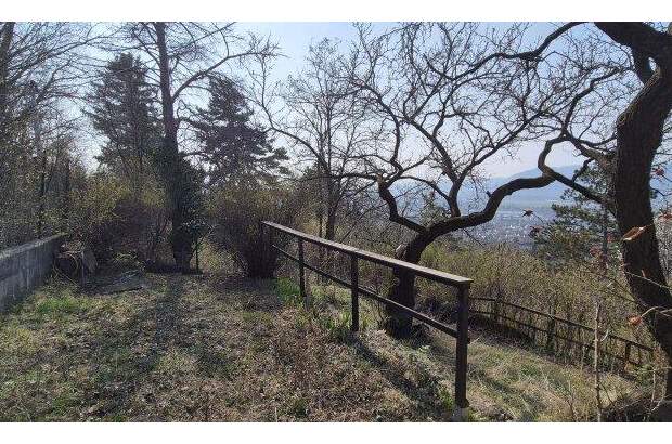 Grundstück kaufen in 2103 Langenzersdorf (Bild 4)