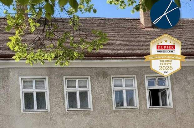 Wohnanlage kaufen in 3500 Krems (Bild 1)
