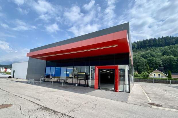 Gewerbeobjekt mieten in 9800 Spittal (Bild 3)