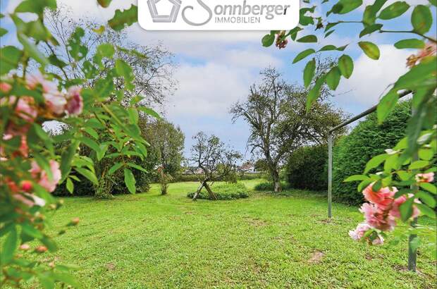 Grundstück kaufen in 4062 Thening (Bild 1)