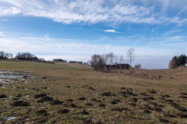 Grundstück kaufen in 4201 Eidenberg (Bild 1)