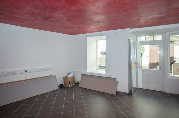 Haus kaufen in 3500 Krems (Bild 1)