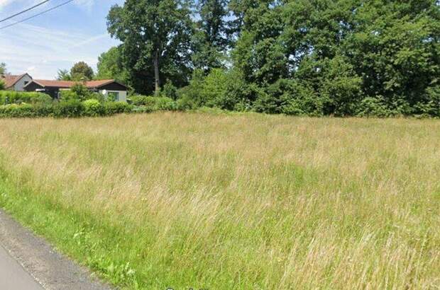 Grundstück kaufen in 8483 Deutsch Goritz (Bild 3)