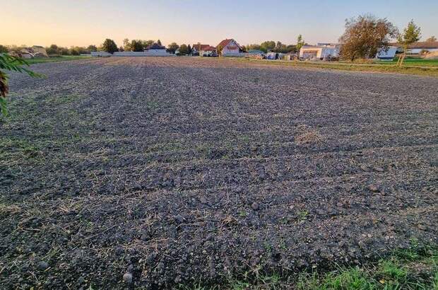 Grundstück kaufen in 7162 Tadten (Bild 2)