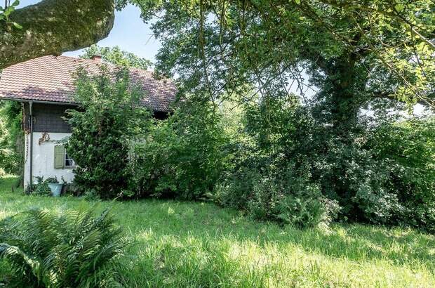 Grundstück kaufen in 4020 Leonding (Bild 2)