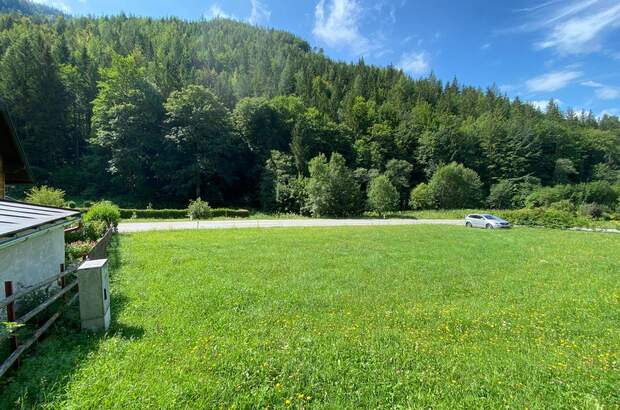 Grundstück kaufen in 8691 Altenberg (Bild 3)