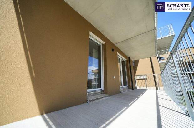 Terrassenwohnung kaufen in 8401 Kalsdorf (Bild 5)