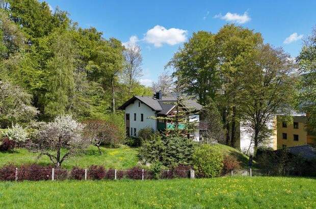 Mehrfamilienhaus kaufen in 4810 Altmünster (Bild 5)