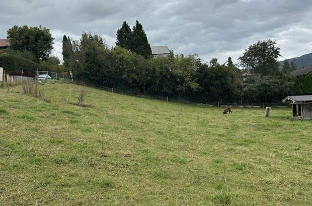 Grundstück kaufen in 5302 Henndorf (Bild 2)