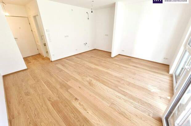 Terrassenwohnung mieten in 1230 Wien (Bild 2)