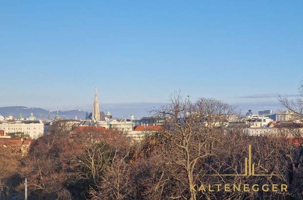 Wohnung mit Balkon kaufen in 1040 Wien